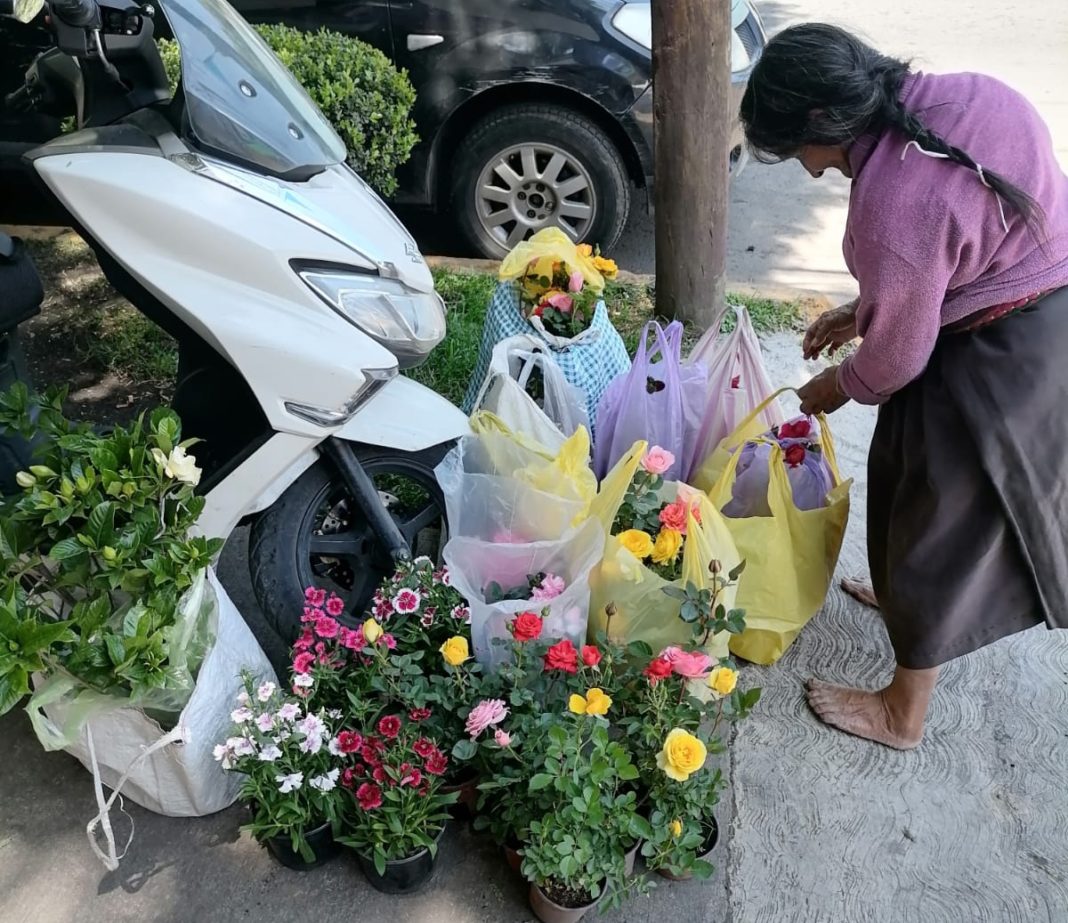 Tlalpan, Acoxpa