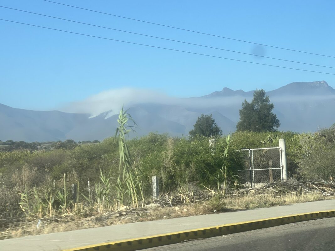 Tlacolula