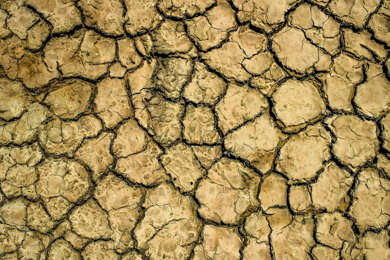drought 3465359 1280