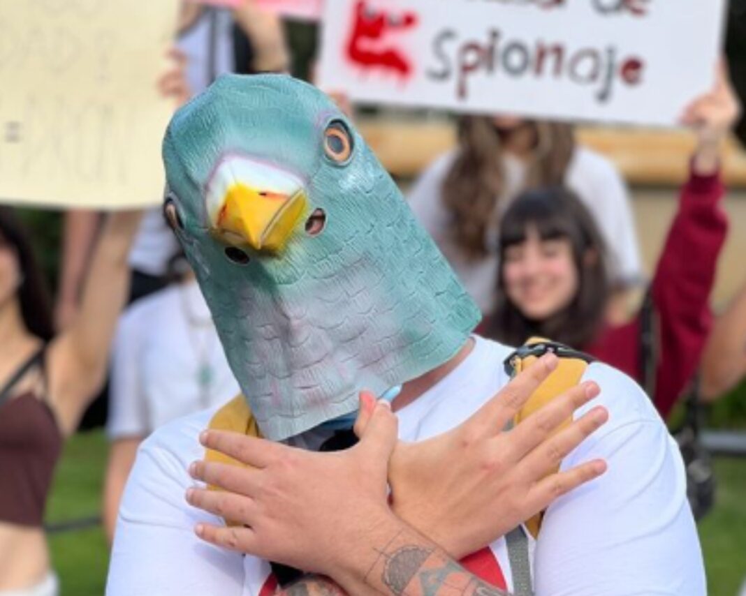 pájaros