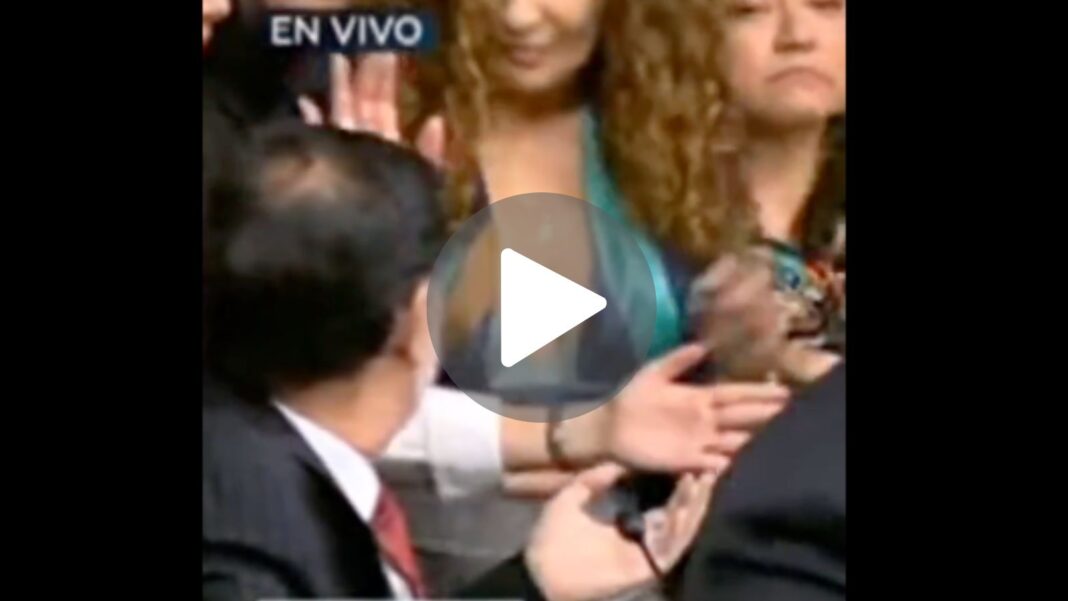 Senado
