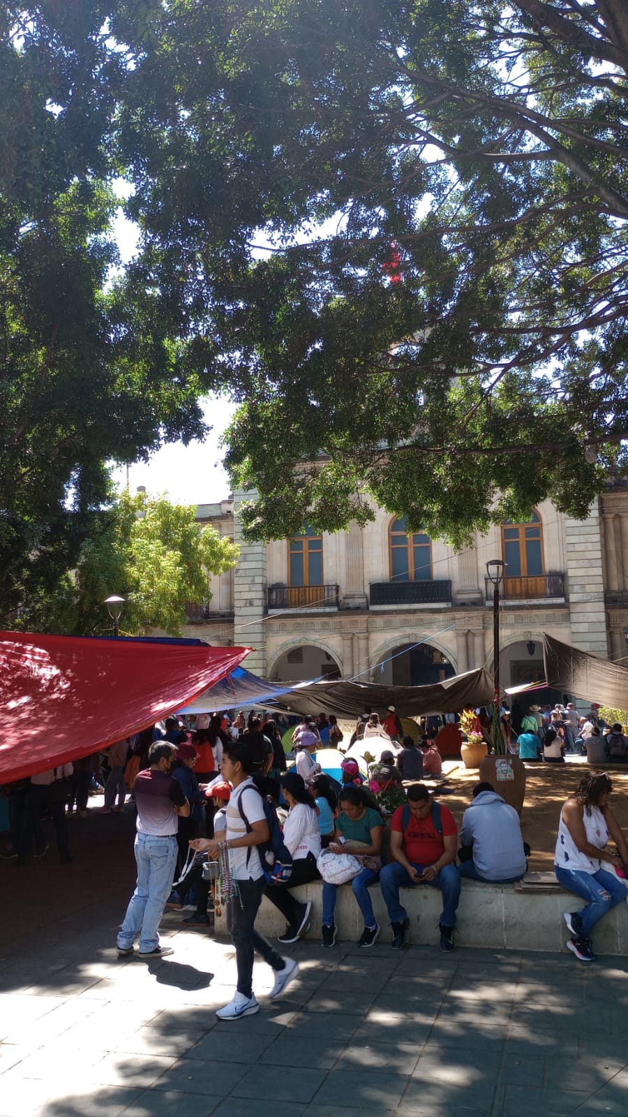 Oaxaca en Pie de Lucha: Sección 22 exige mejoras en Educación Indígena 1 oaxaca, sección 22
