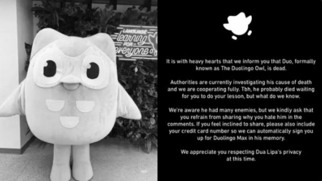 Duolingo, Duo, búho, mascota, muerte, viral, aprendizaje de idiomas, noticias, redes sociales.