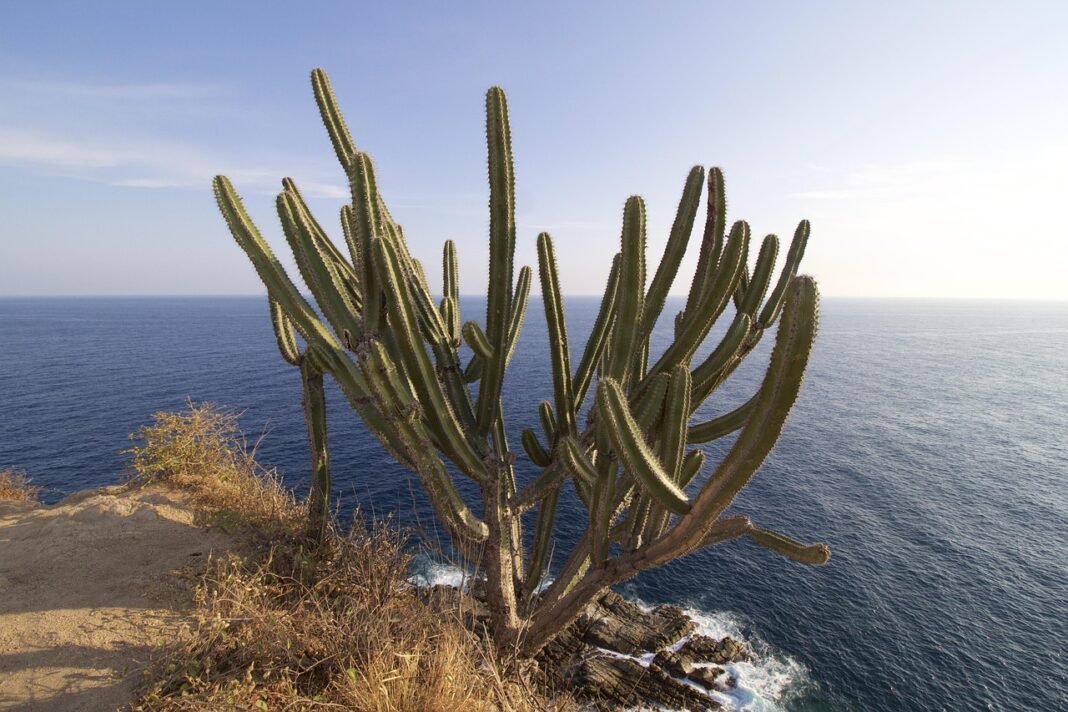Huatulco