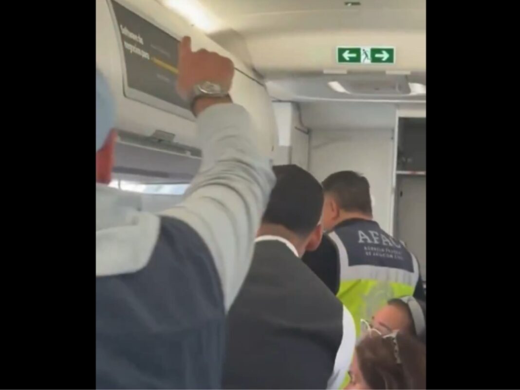 Lord y Lady Viva Aerobús