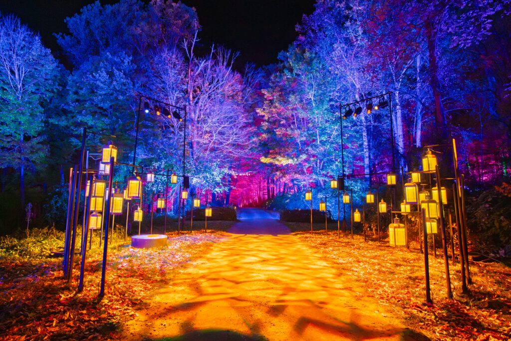 Inicia con magia el Bosque Prohibido de Harry Potter en Naucalli 2 702489 B31A0158 2 7d0d12 9d538c original 1789546738